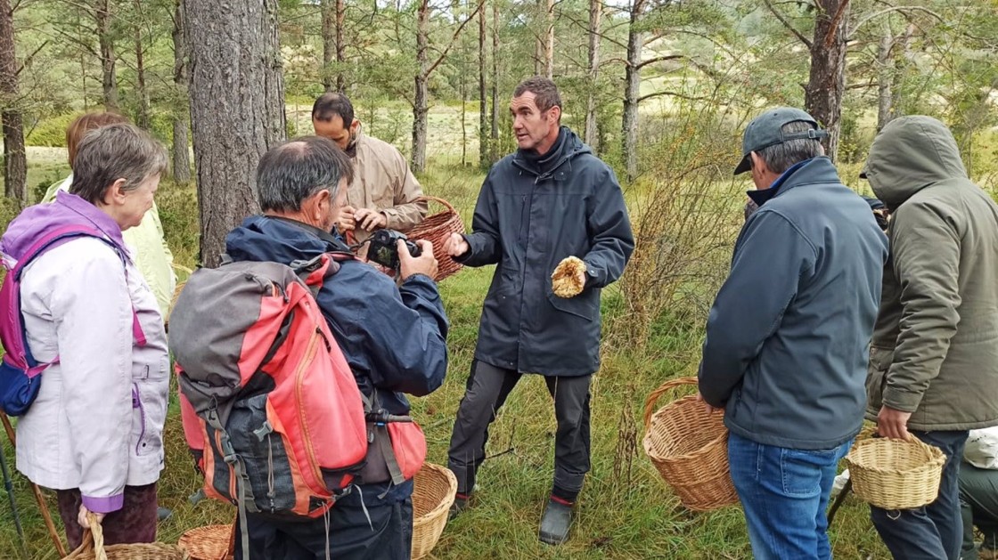 Las setas de otoño, protagonistas de las jornadas gastronómicas de la Sierra de Albarracín