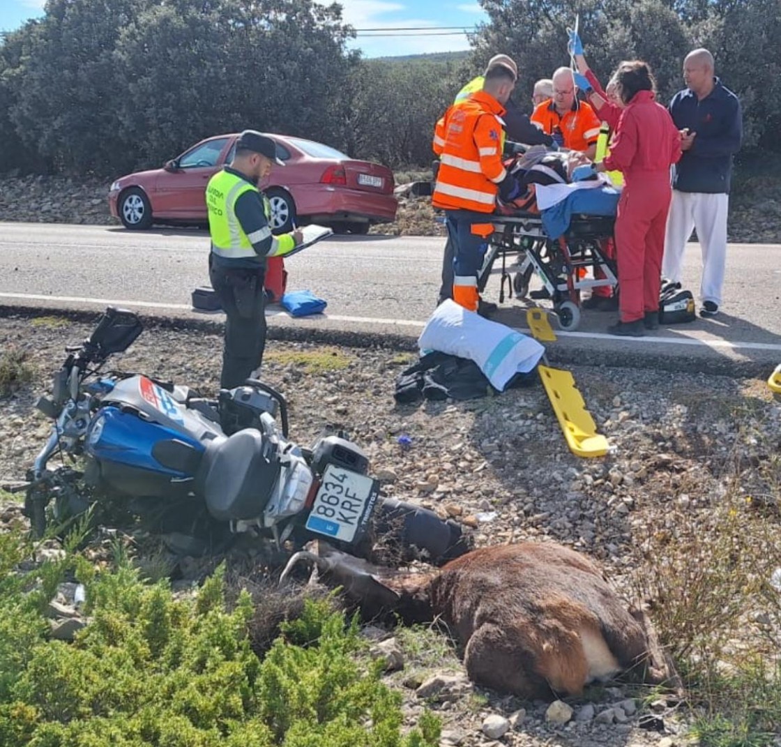 Un motociclista, herido grave, tras atropellar a un ciervo en el término municipal de Albarracín