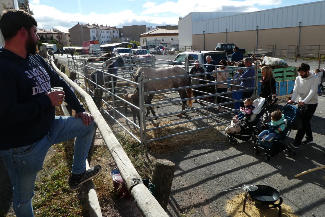 Unos 50 expositores participarán en  la Feria Ganadera y Artesanal de Mora