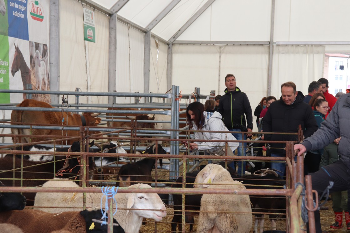 La Feria de Mora cierra un fin de semana de éxito a pesar de la lluvia