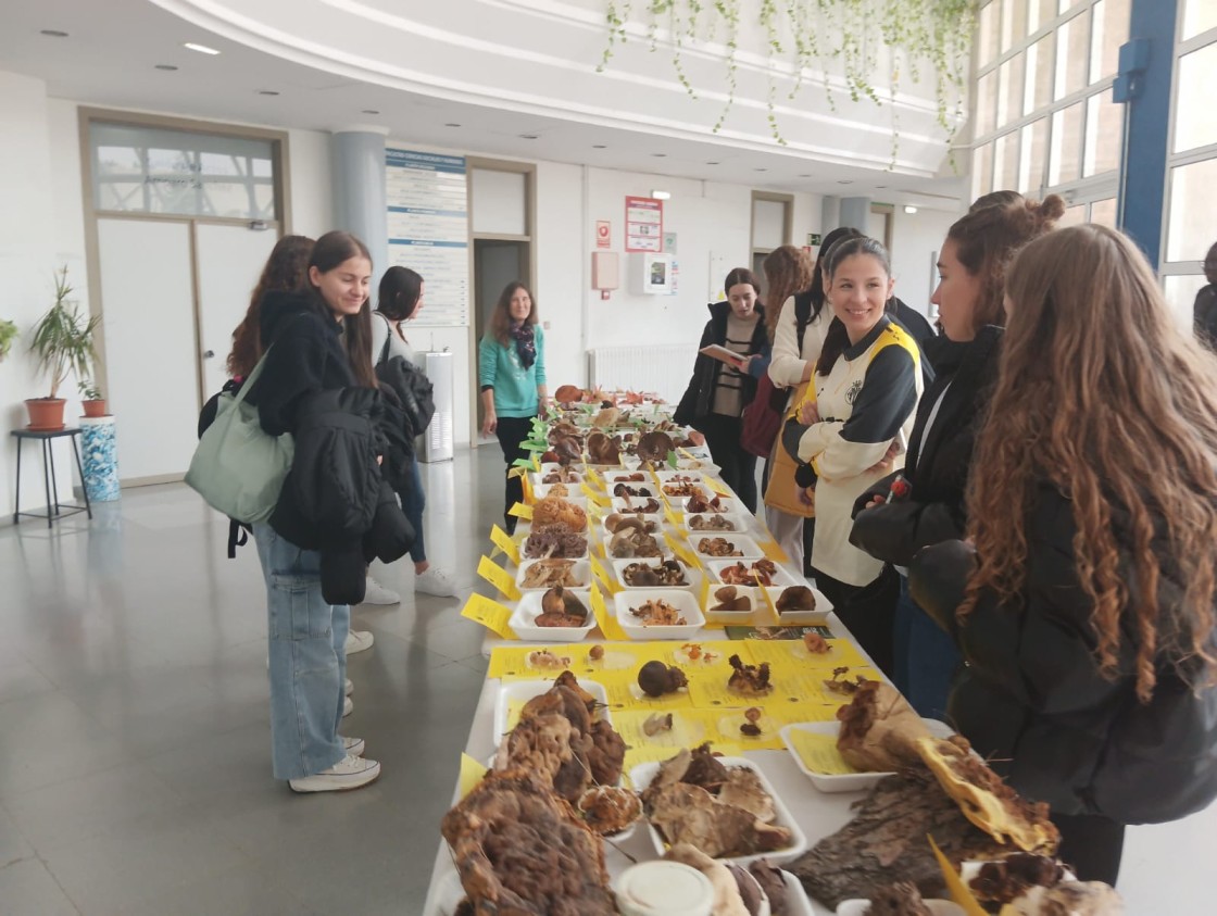 Las Jornadas Micológicas se hacen un hueco entre los aficionados estudiantes del Campus