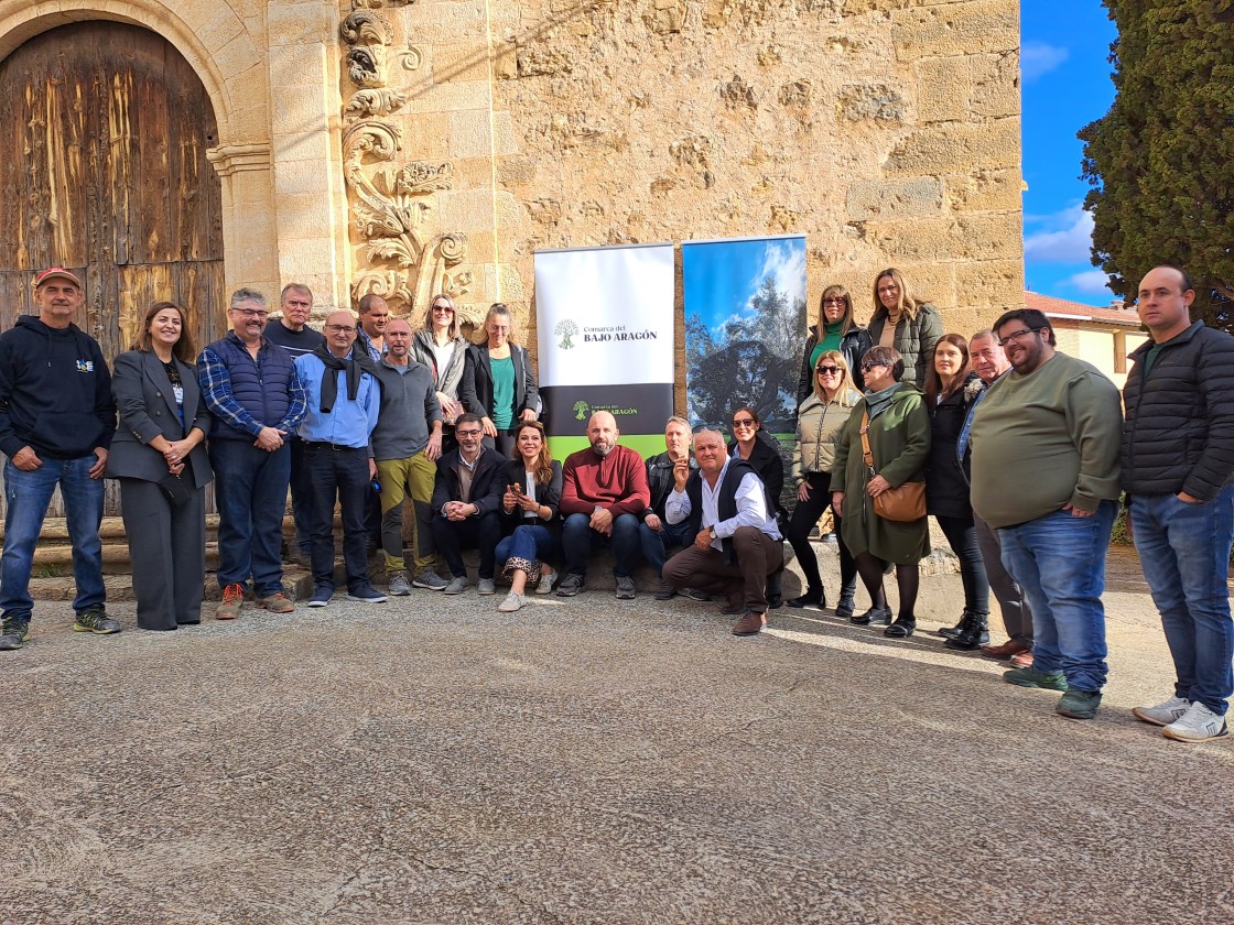 Una olivera con 20 aceitunas, una por cada municipio, representará mejor al Bajo Aragón