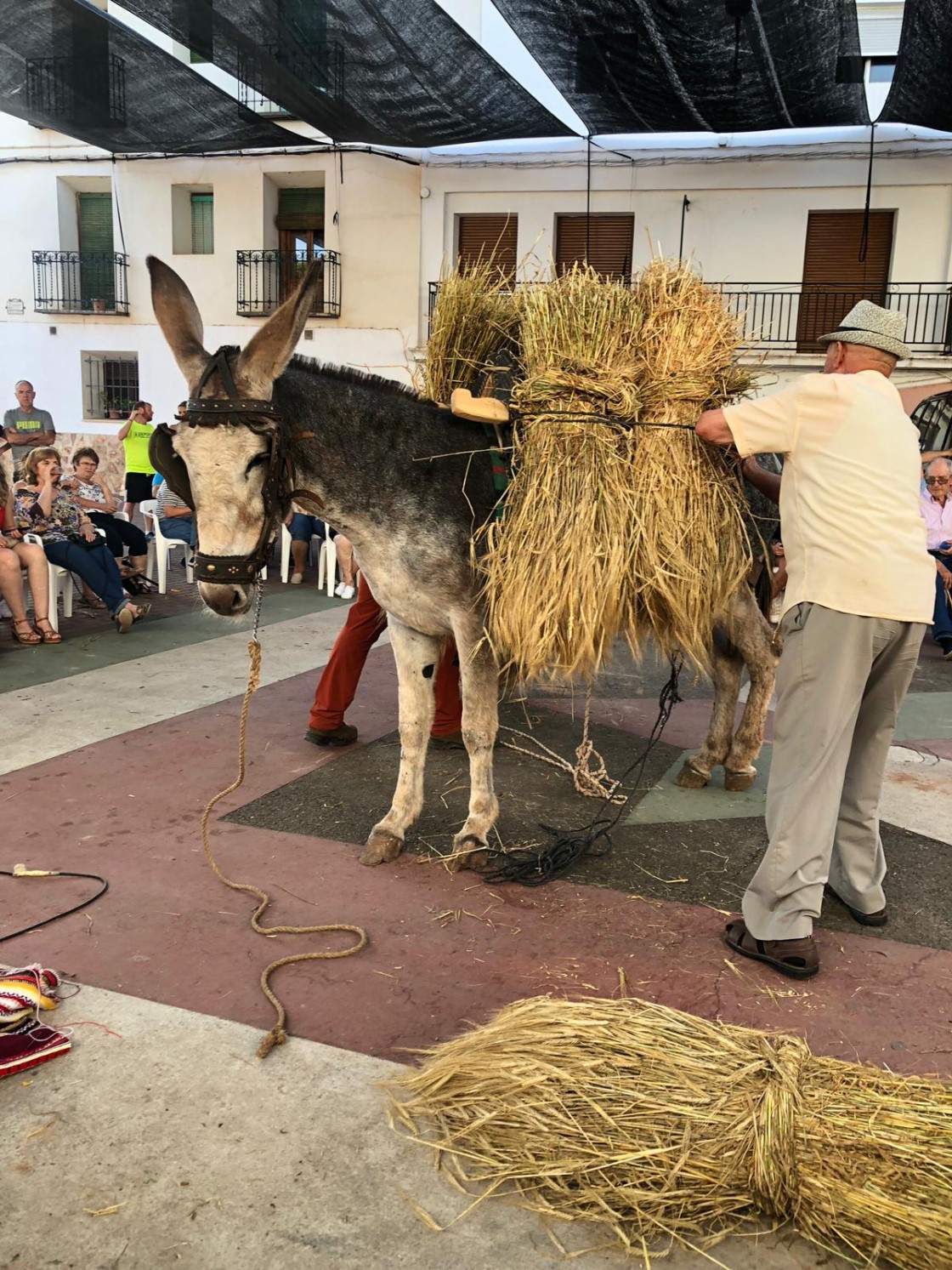 Torres celebra su orgullo rural sacando pecho de oficios y sabores del pasado