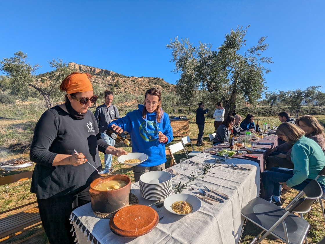 Alloza quiere poner en valor su singular oliva royal con una experiencia oleoturística en el campo