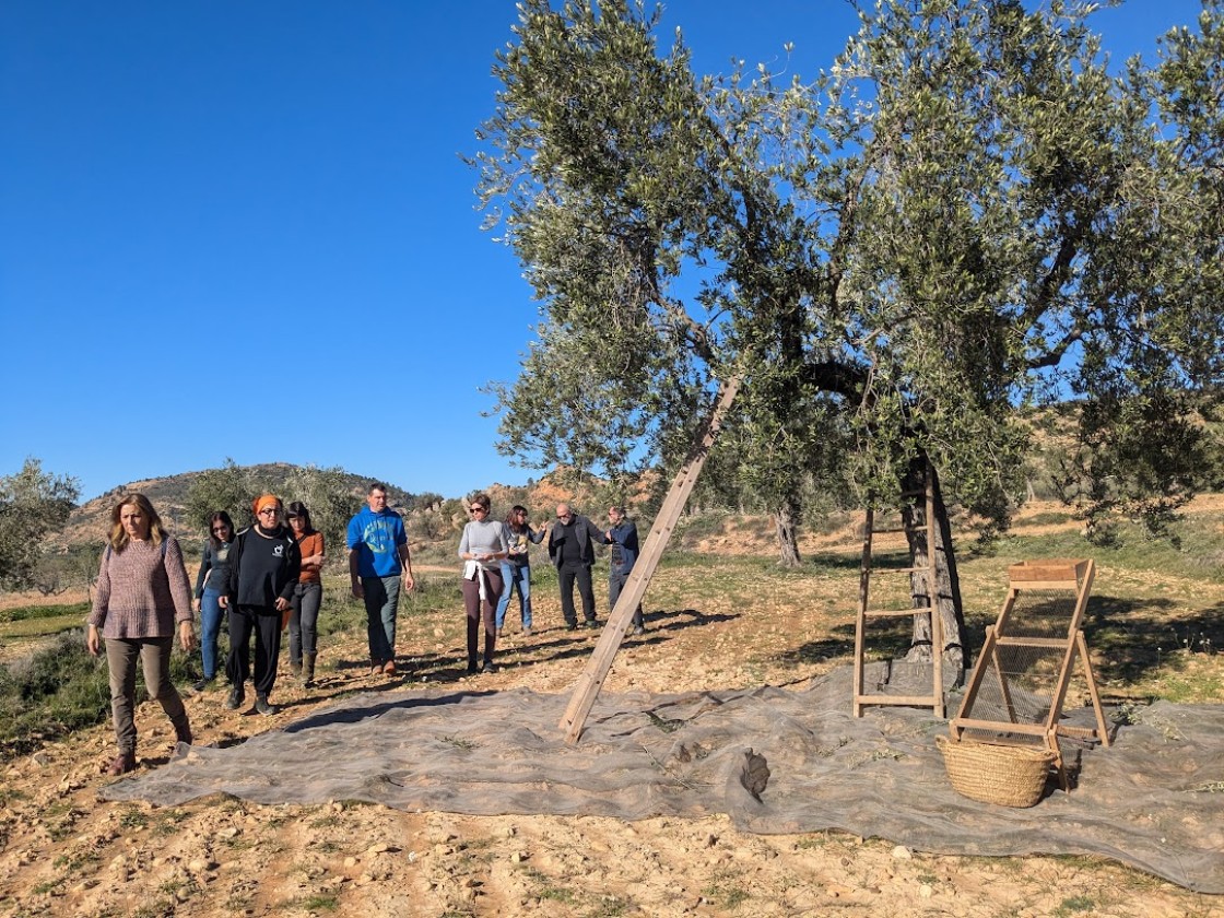 Un árbol vecero, poco productivo y muy resistente a la sequía