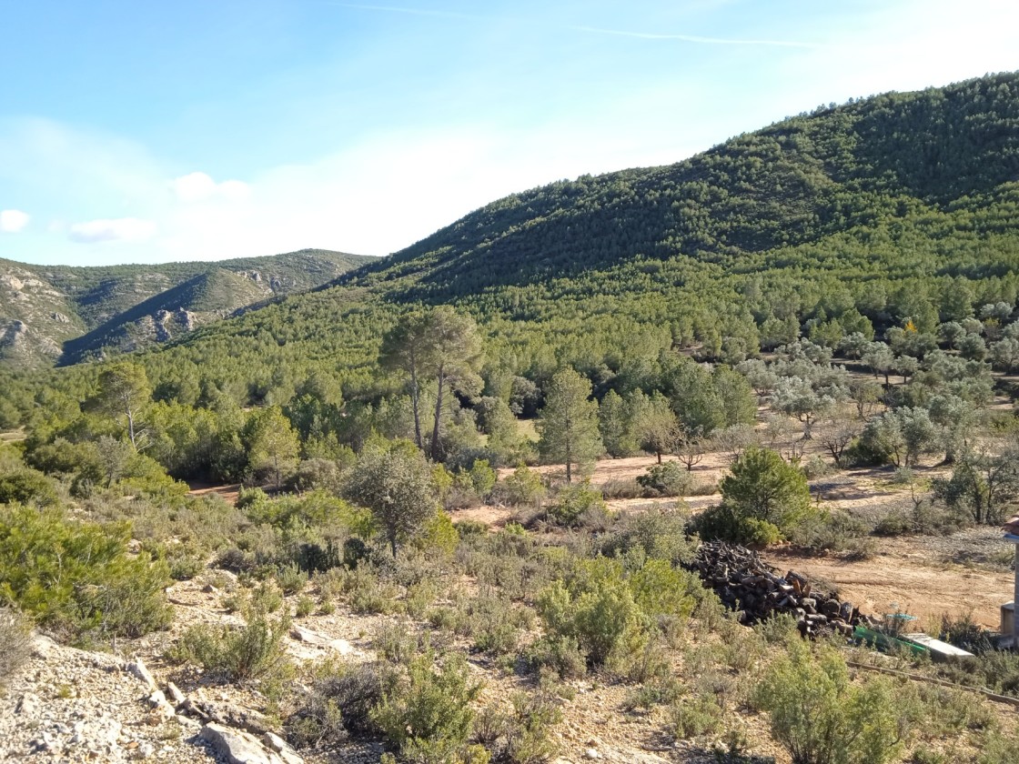 El CITA impulsa el proyecto ‘Reconecta’  en Arens de Lledó para prevenir incendios