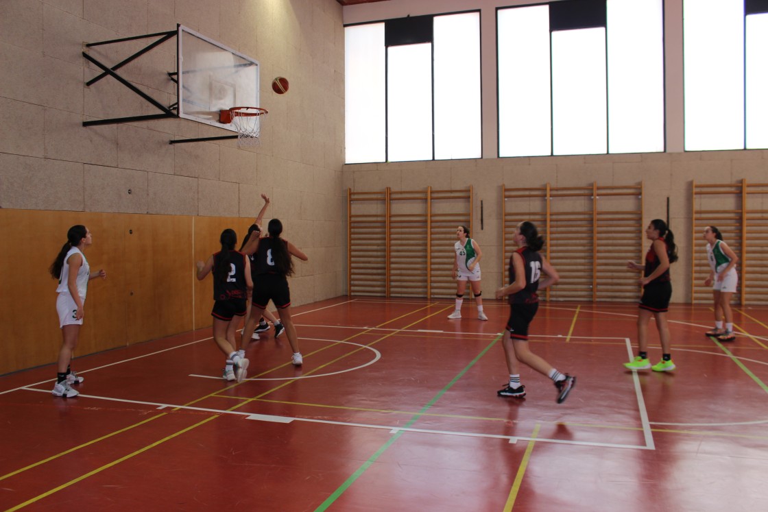 José Maicas y Jorge Abel Martín, reconocidos por la Federación Aragonesa de Baloncesto