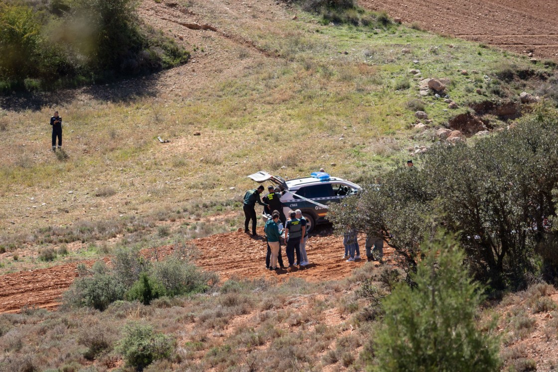 El impacto frontal de un buitre causó el accidente del F-18 en el que murió el piloto en Peralejos