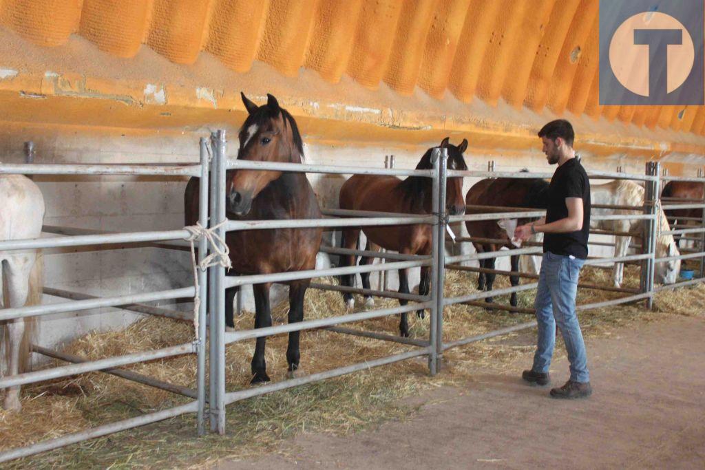 Las charlas profesionales dan inicio hoy a la feria de Torralba