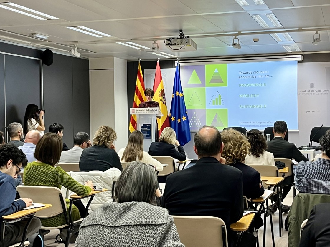 La DPT participa de la presentación de la Declaración de Puigcerdá en Bruselas