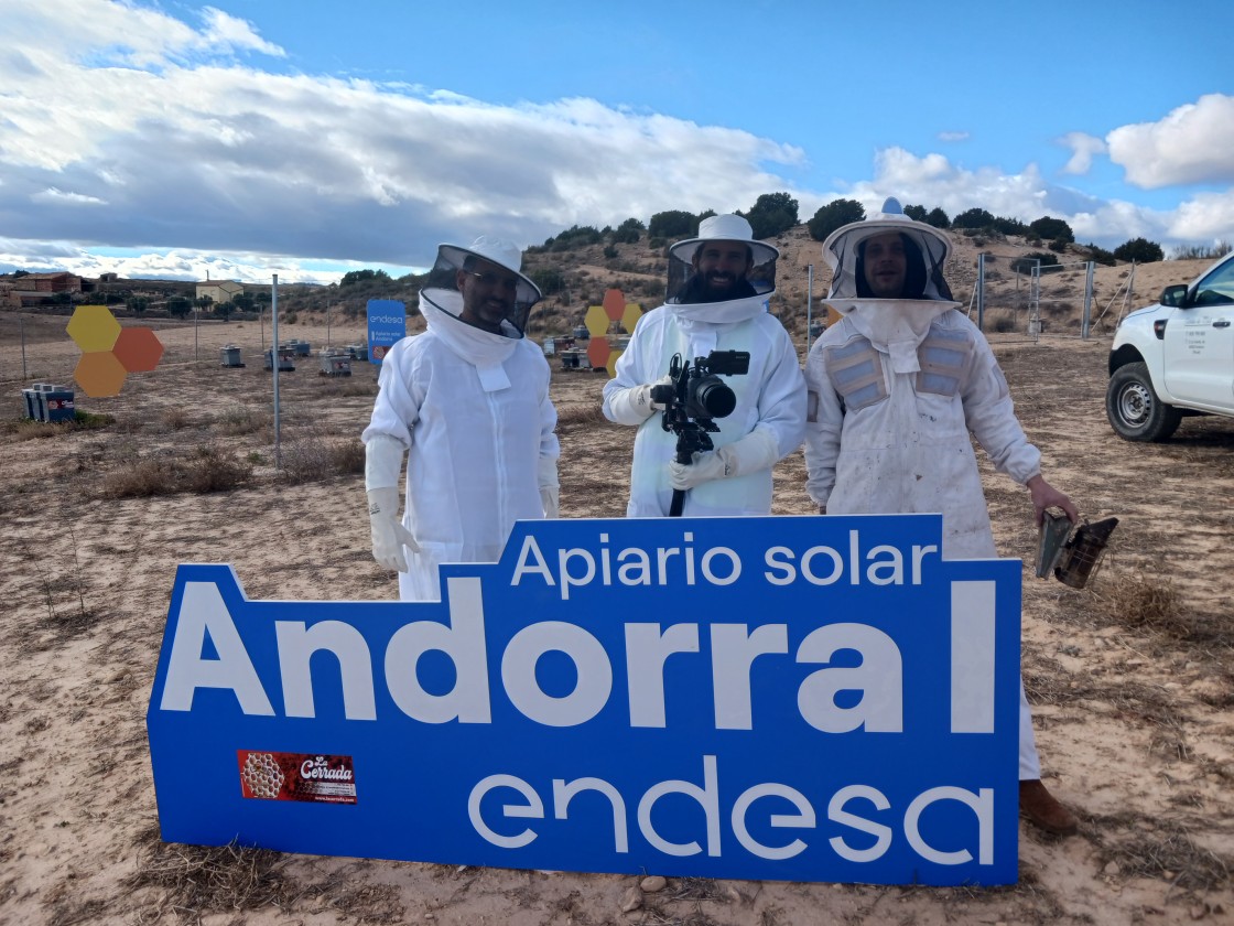 Endesa preserva las abejas y la biodiversidad con sus apiarios solares