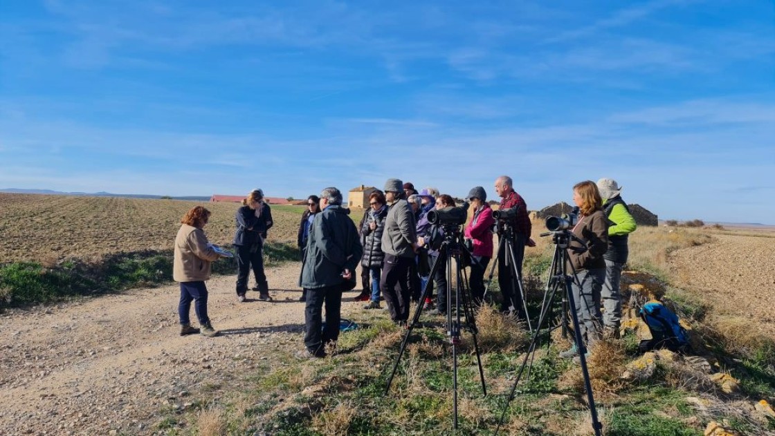 Regresan las rutas con las grullas a la Reserva Natural Dirigida de la laguna de Gallocanta