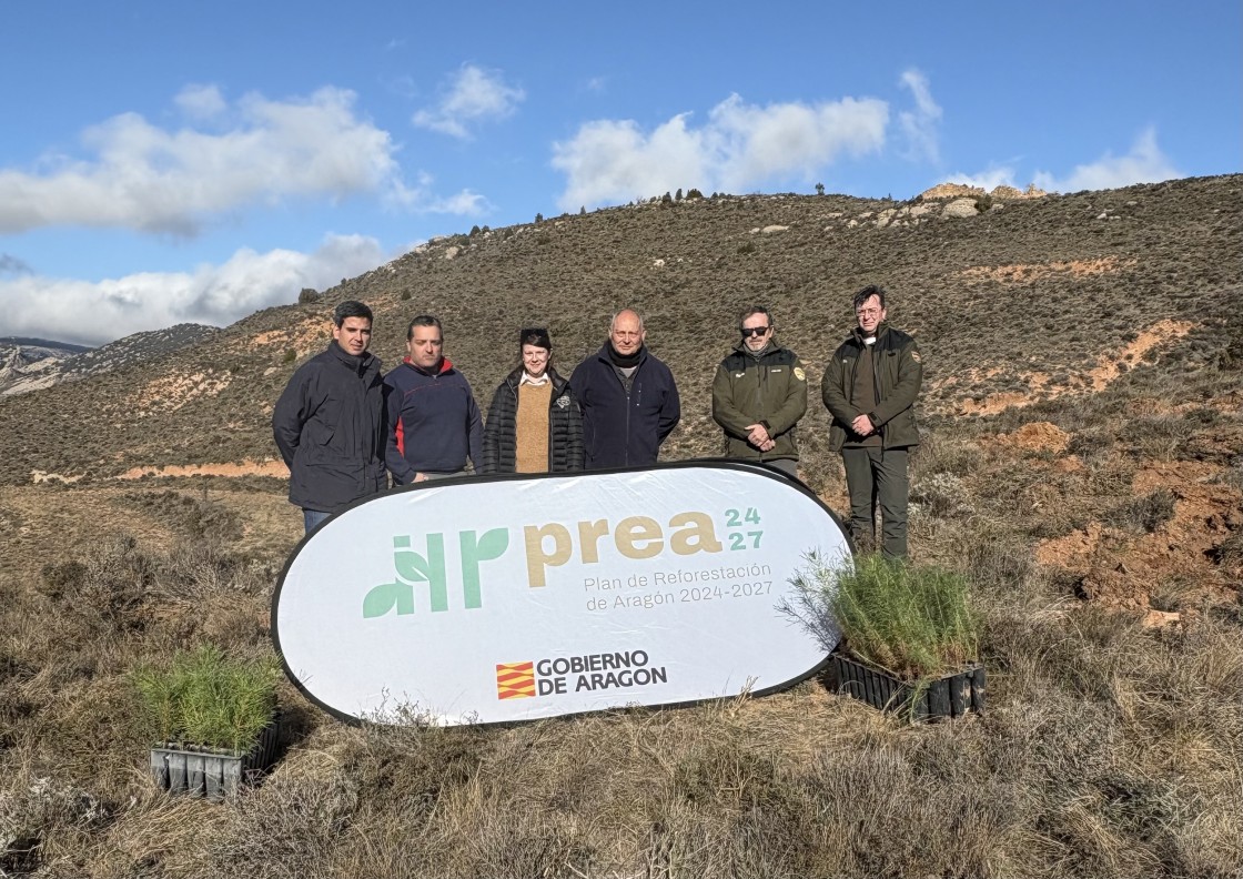 Medio Ambiente trabaja en la reforestación de 60 hectáreas en los montes de Aliaga