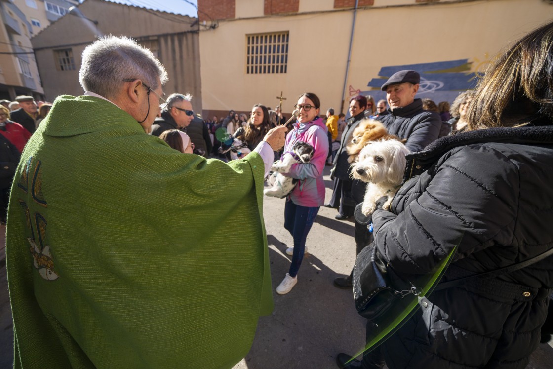 Tortugas, gatos, caballos, canarios y muchos perros son bendecidos en la ermita de San Julián