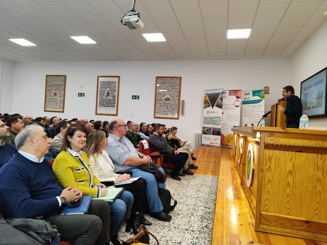 “El bosque parece específicamente diseñado para prevenir las avenidas torrenciales”