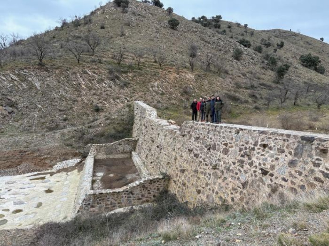 Finalizados los trabajos de restauración del incendio de Castejón de Tornos de 2022, que también afectó a Báguena y Burbáguena