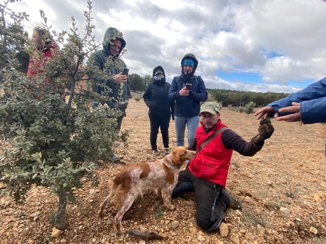 Unas jornadas de trufiturismo en la Sierra de Albarracín invitan al visitante a buscar, catar y cocinar la trufa