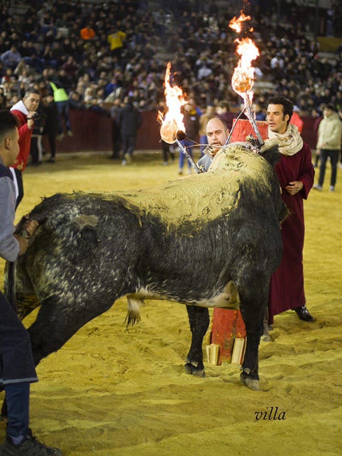 Morenito de Aranda, matador de toros: “Miura es una ganadería legendaria, mítica, con una personalidad única, es muy especial para Teruel”