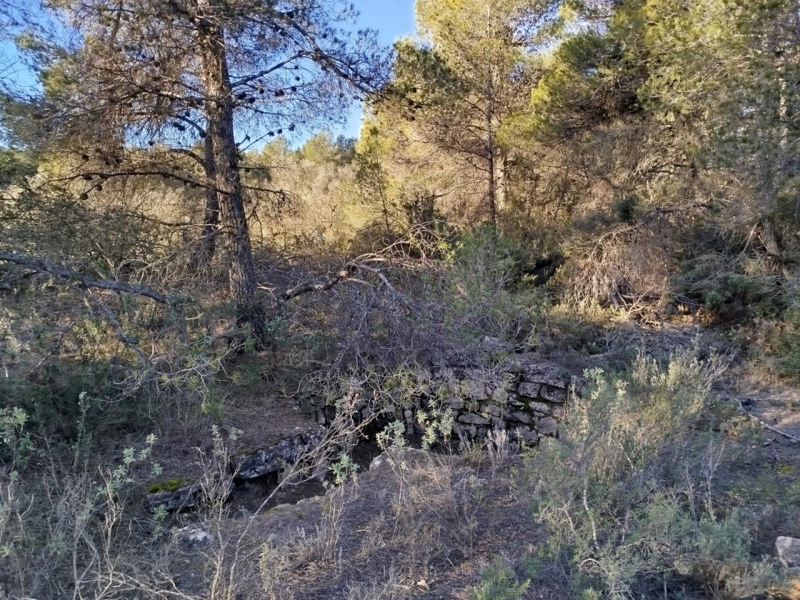 Comienza la restauración de las balsas históricas de Arens de Lledó con una alta participación