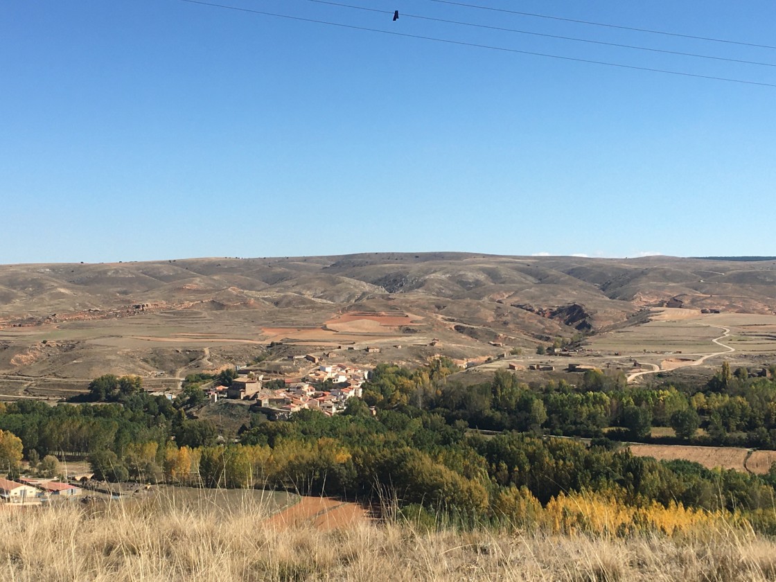 Perales del Alfambra tendrá el cuarto Bosque Ambar de Aragón