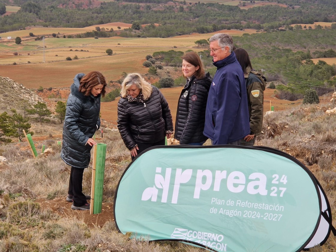 La reforestación en Teruel capital se amplía a 70 hectáreas y la plantación se completará esta primavera