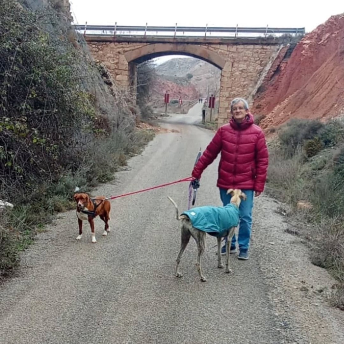 Las protectoras Amigo Mío y Proyecto Gato lanzan un SOS para buscar voluntarios comprometidos