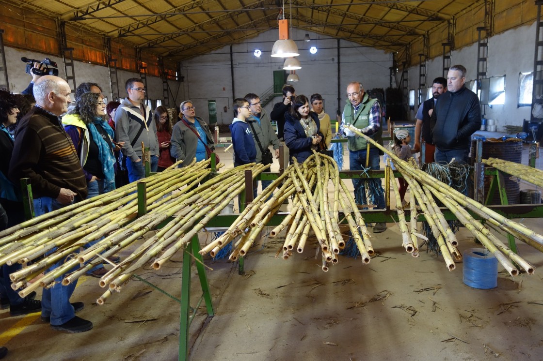 La Puebla de Híjar pone en valor la caña musical con Arundo Donax un año más