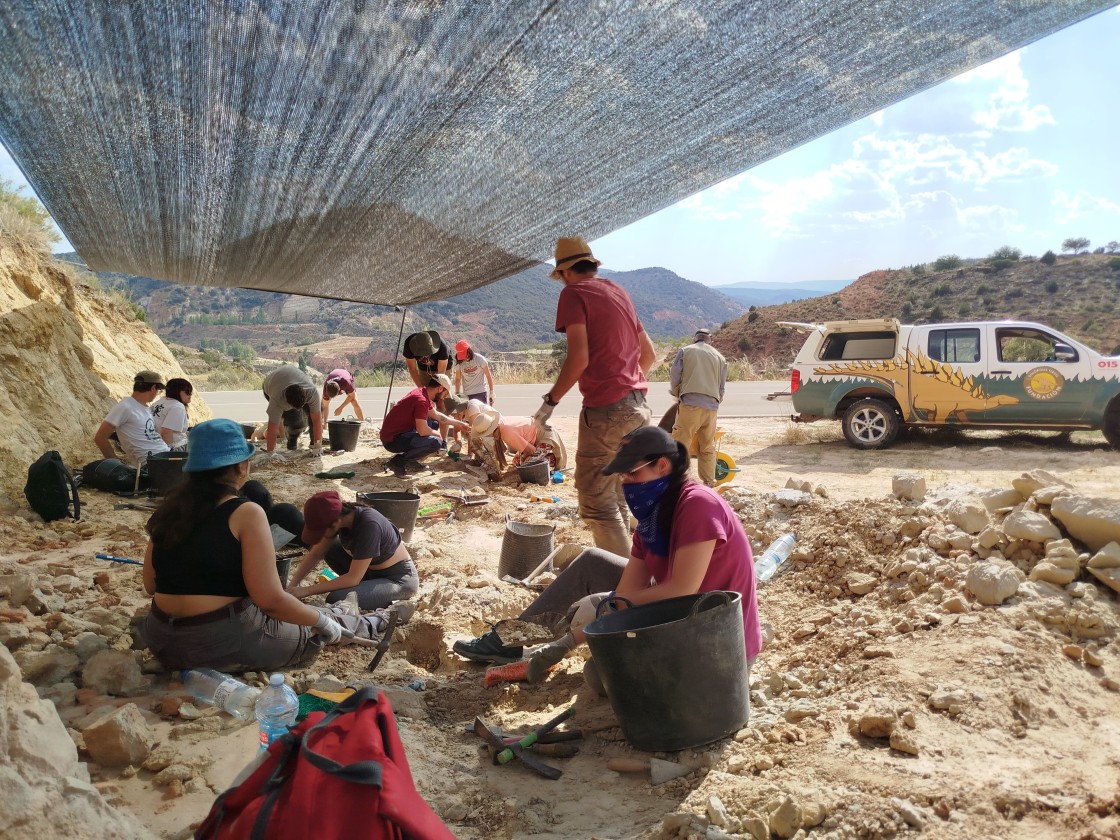 'Open Dino Teruel', una nueva actividad educativa de la Fundación Dinópolis