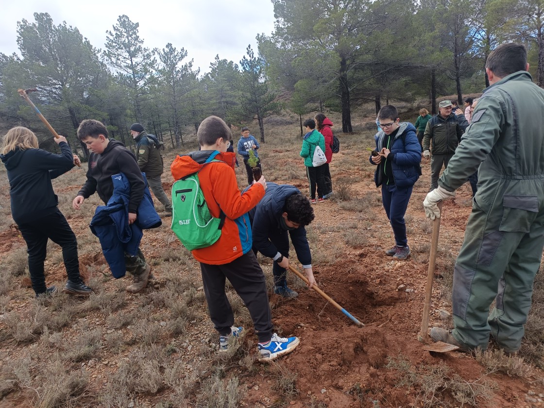 El Plan de Reforestación ha llegado a más  de la mitad de las hectáreas programadas