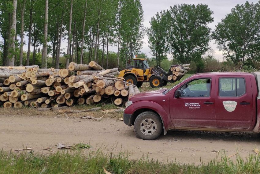 Varios alcaldes de Teruel piden a la DGA que no se agrupen las cuadrillas de incendios porque se perdería efectividad