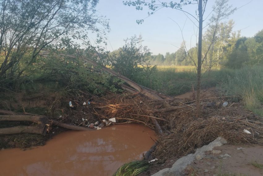 Los dueños de fincas junto al río Alfambra piden que se limpie el cauce para evitar inundaciones