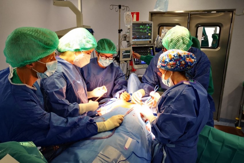 La demora media en Teruel para una cirugía de Otorrino o Urología es de siete meses