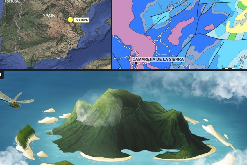 Camarena fue hace 170 millones de años una isla volcánica colonizada por insectos