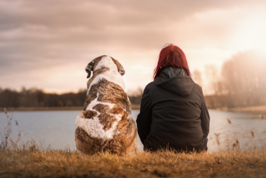 La relación entre humanos y animales, una cuestión pendiente de regulación