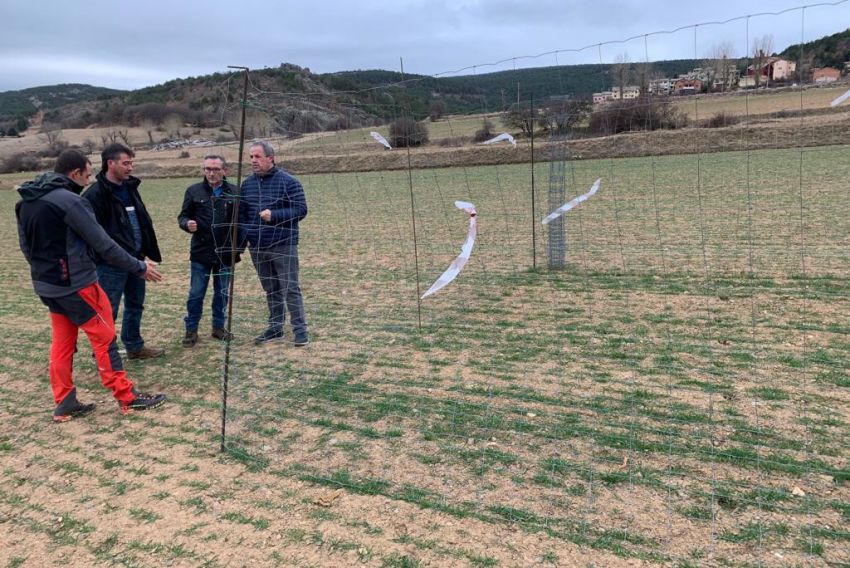 El PP exige soluciones para los agricultores afectados por los daños de los ciervos en la Sierra de Albarracín