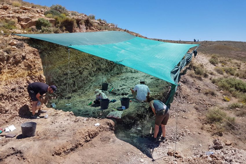 Una campaña paleontológica busca fósiles de félidos 'dientes de sable' en Teruel capital