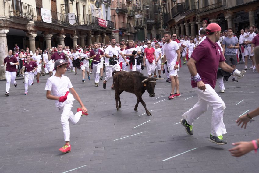 Teruel no tendrá este año ensogados infantiles el lunes de la Vaquilla: se sustituyen por carretones debido a la normativa sobre menores y toros