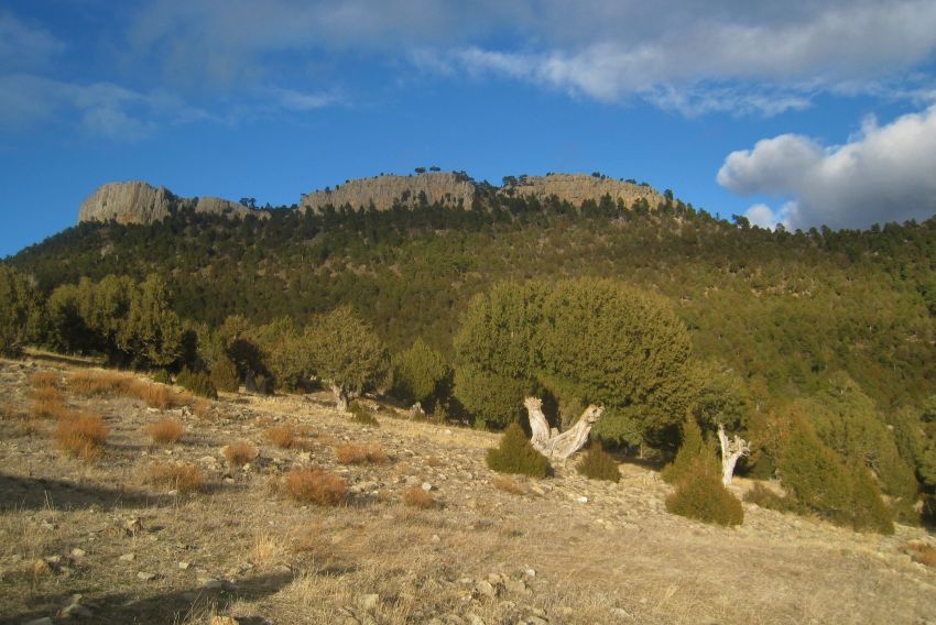 Mora de Rubielos señaliza una ruta de 8 kilómetros por espacios naturales de interés turístico