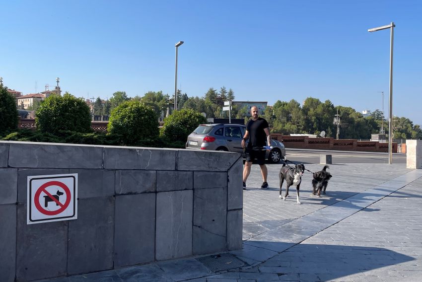 Ganar Teruel pide que se permita atravesar los parques de la ciudad con perros