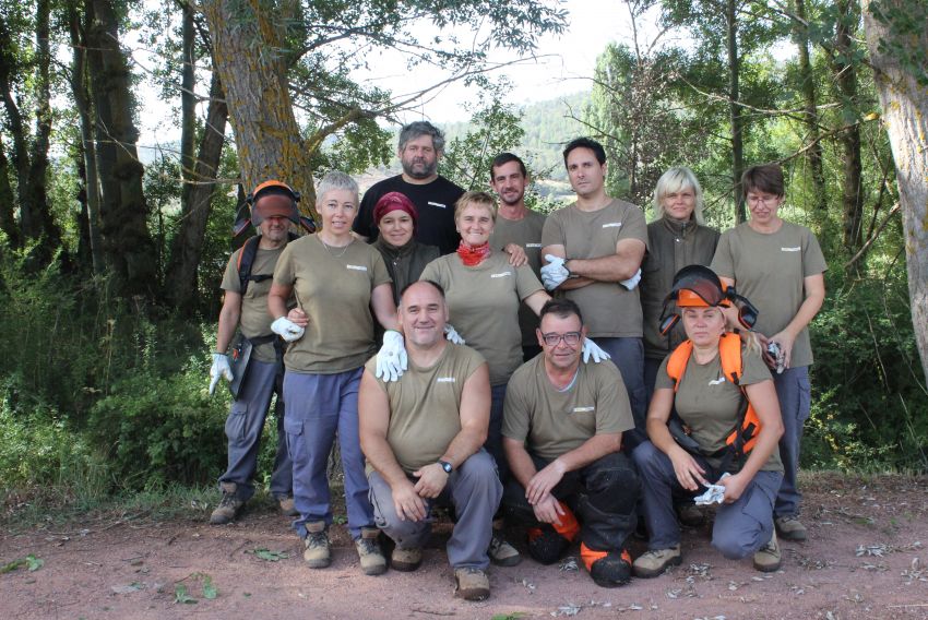 El taller de empleo de Torres de Albarracín crea la ruta de las 30 sabinas monumentales