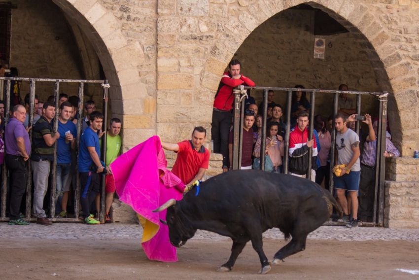 Casi la mitad de los pueblos de la provincia de Teruel han realizado espectáculos taurinos este año