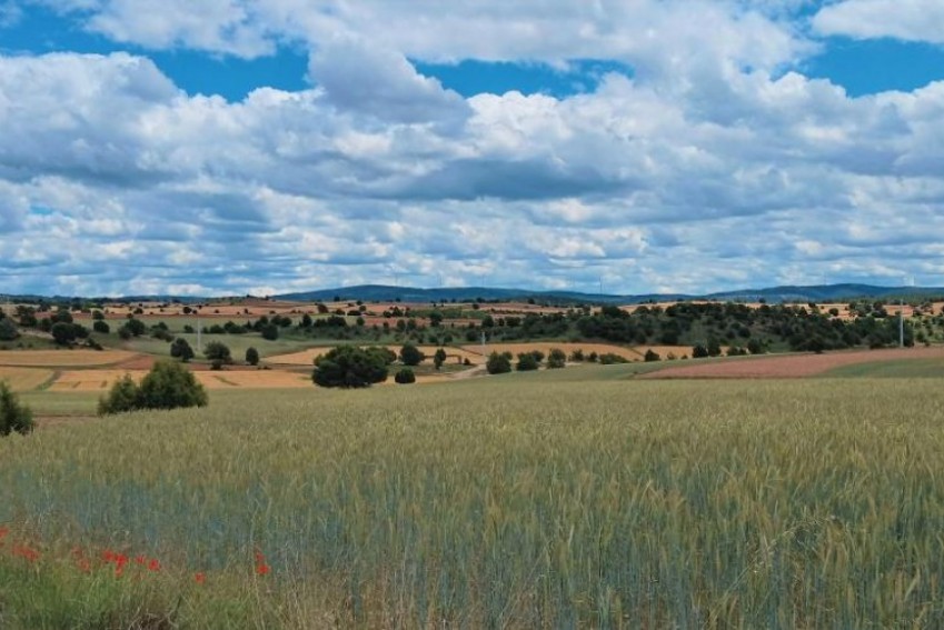 El Centro de Innovación en Bioeconomía Rural de Teruel organiza la jornada' Agroecología y Soberanía Alimentaria, el camino hacia la sostenibilidad' en Alcañiz