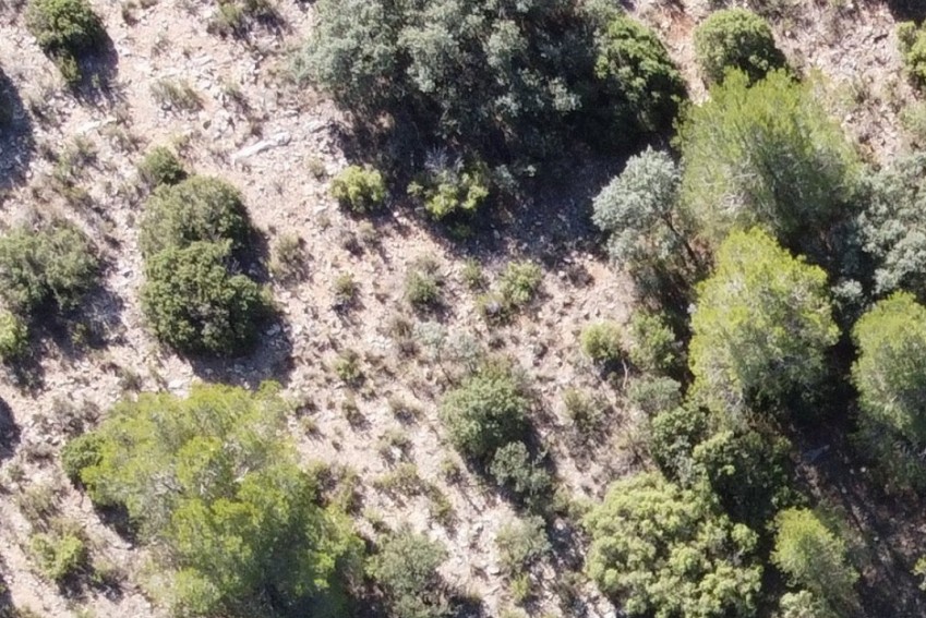 La futura carta arqueológica de la Sierra de los Caballos de Alcorisa protegerá los yacimientos