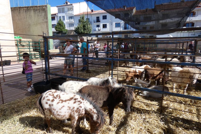 El calendario ferial de la provincia de Teruel incluye para este año 34 certámenes