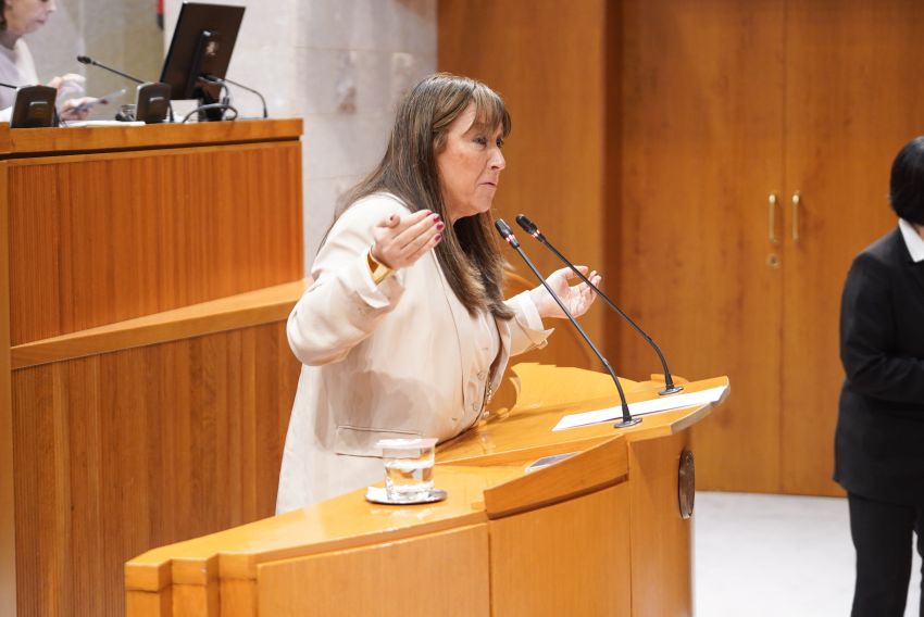 Pérez y Repollés defienden ante el PP el plan de emergencias sanitarias y dicen que es realista