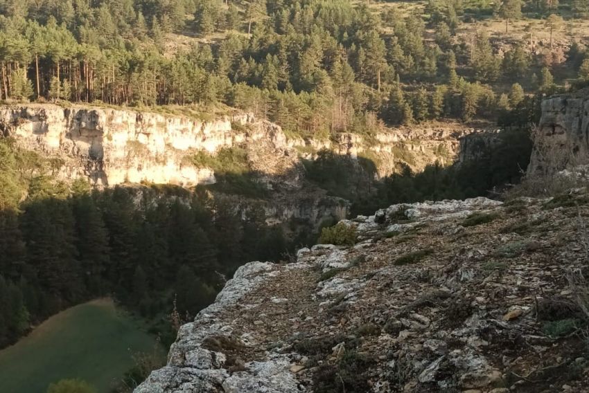 Frías de Albarracín proyecta dos tirolinas en el Barranco de la Hoz junto a los tauros y un bosque maduro