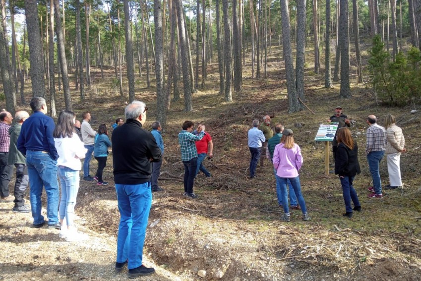 Cedrillas muestra la gestión forestal en  un sendero didáctico jalonado de arte