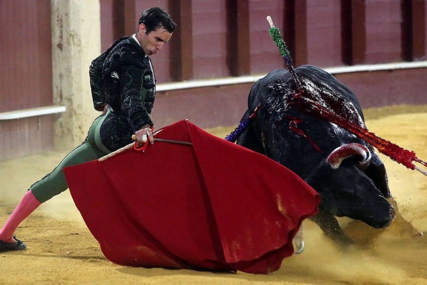 Juan Ortega, matador de toros: 