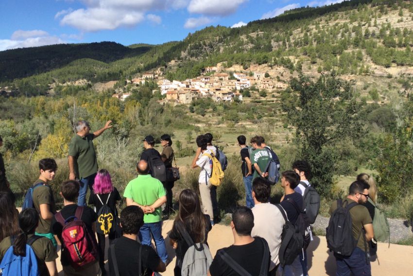 Un rebaño de 75 vacas limpia el monte de Olba de forma intensiva con el fin de evitar nuevos incendios