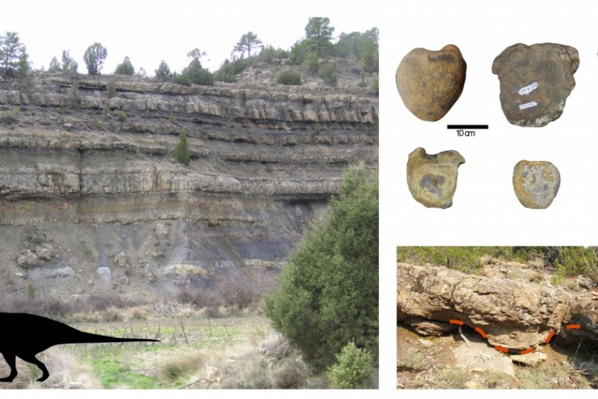 Una investigación confirma que los grandes dinosaurios ornitópodos reinaban en los lagos costeros de hace 130-125 millones de años en la provincia de Teruel